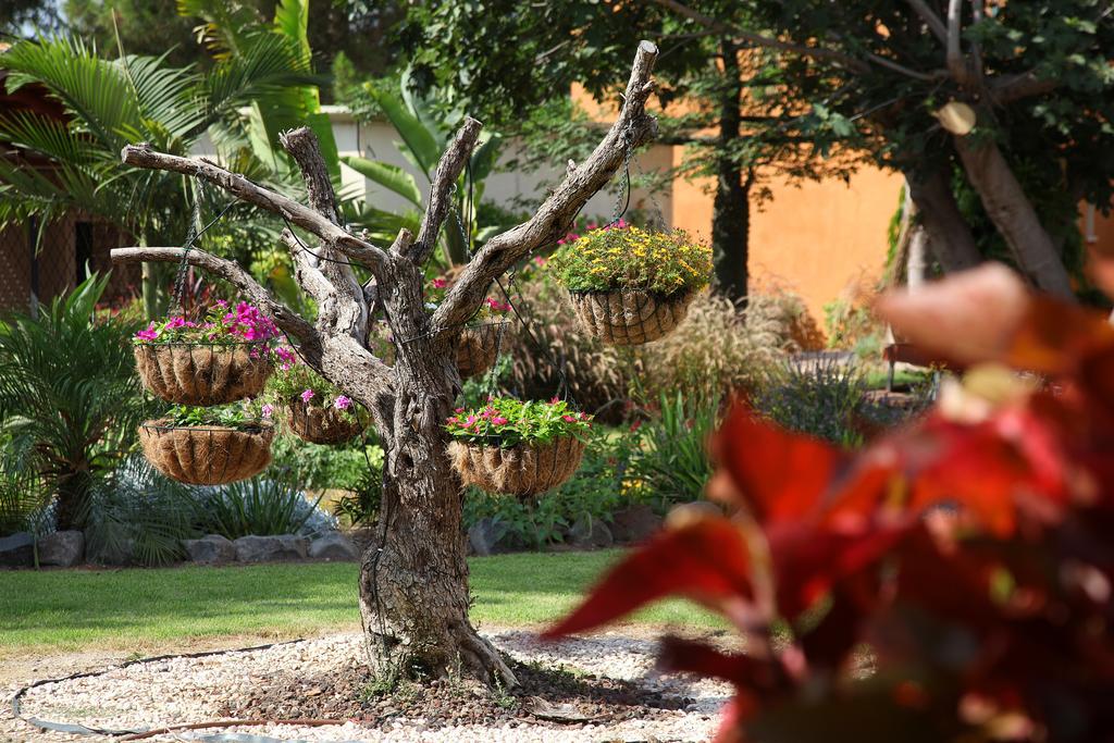 Shaar Hagolan Kibbutz Country Lodging Εξωτερικό φωτογραφία
