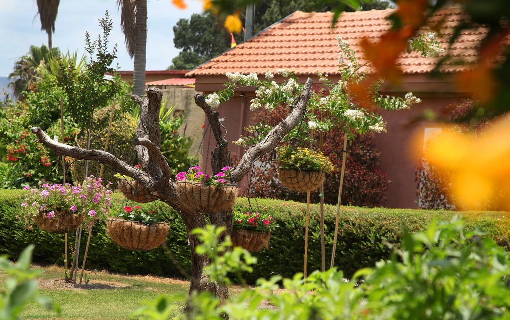 Shaar Hagolan Kibbutz Country Lodging Εξωτερικό φωτογραφία