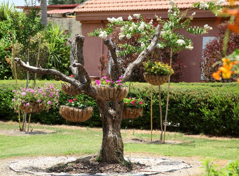 Shaar Hagolan Kibbutz Country Lodging Εξωτερικό φωτογραφία